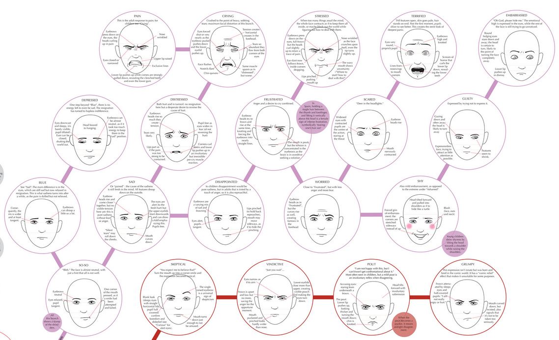 Human Facial Expressions Chart